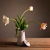 Tulpen in een vaas van Barbara Brolsma