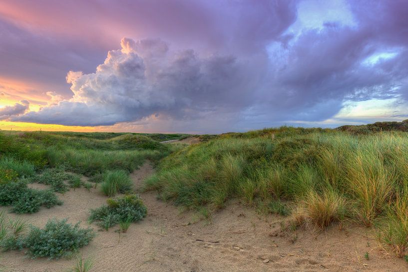 Beautiful clouds in the Westduinpark near Kijkduin The Hague by Rob Kints