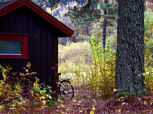 Image d'ambiance d'un chalet norvégien dans la forêt avec une bicyclette