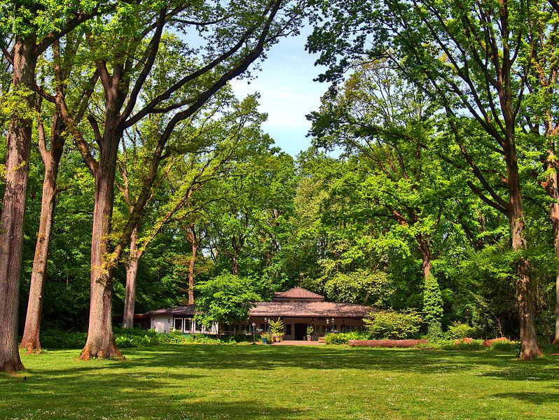 Stadsbos 15 van Edgar Schermaul