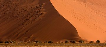 Dune 46 by Ton van den Boogaard