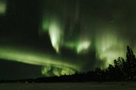Poollicht in Lapland van Mieke Broer thumbnail
