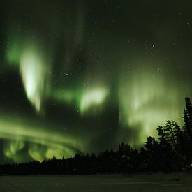 Poollicht in Lapland van Mieke Broer
