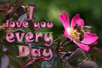 I love you every day sur Christine Nöhmeier