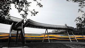 Pont ferroviaire Hoge Noten sur Eddy Westdijk