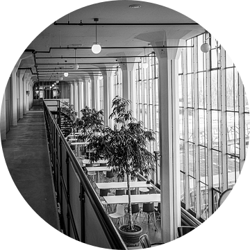 Van Nelle fabriek, Bauhaus van Karin van Bylevelt