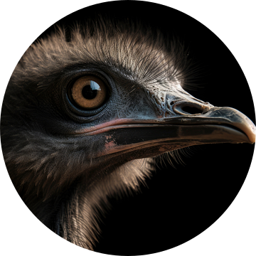 Struisvogel van Digitale Schilderijen