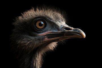 Struisvogel van Digitale Schilderijen