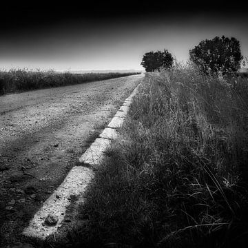 Perspective between fields