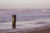 Paal above water