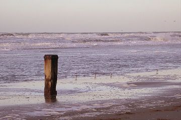 Paal über Wasser von Syl de Mooy