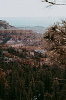 Last bit of snow in Bryce Canyon | travel photo art print