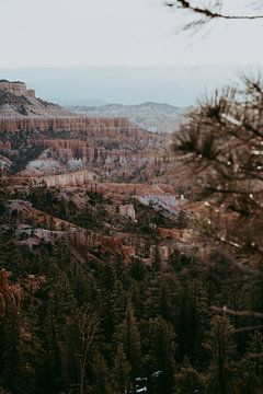 Bryce canyon door de bomen | reisfotografie art print van Elise van Gils