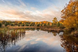 Lever de soleil sur les landes avec de belles couleurs d'automne sur John van de Gazelle