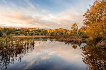 Sonnenaufgang in den Mooren mit schönen Herbstfarben von John van de Gazelle fotografie