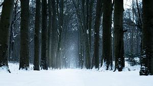Avenue des Neiges