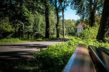 Het kasteel aan de rand van het bos