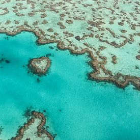 Australien Heart Reef von Robert Styppa