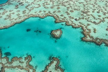 Cœur de récif en Australie sur Robert Styppa