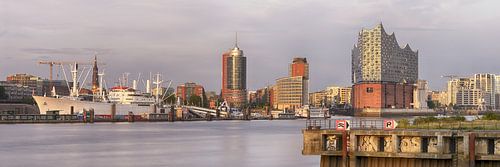 Harbour panorama - Beautiful Hamburg