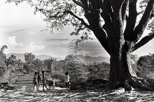 Vietnamesische Kinder am Riesenbaum in Kon Tum