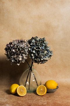 Stilleven met hortensia bloemen en citroenen