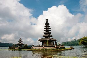 'Bedugul'