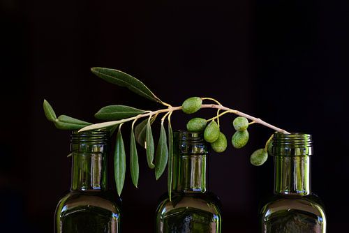 On three empty bottles lie olive branches
