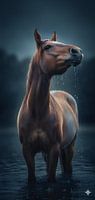 Cheval sous la pluie