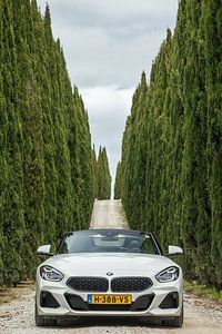 BMW Z4 van Menno Schaefer