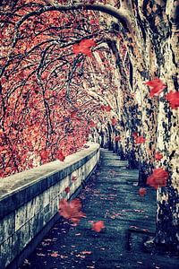 Herbst in Rom