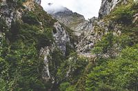 Berge an einem lichten Morgen