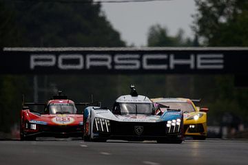 Peugeot au Mans sur Rick Kiewiet