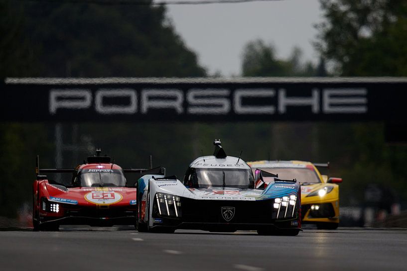 Peugeot @ Le Mans van Rick Kiewiet