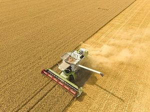 Mähdrescher bei der Weizenernte im Sommer