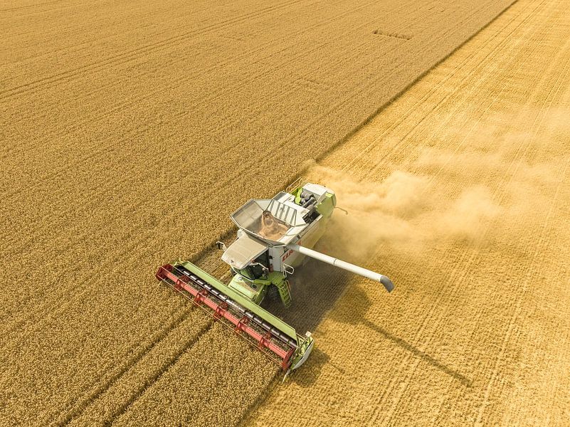 Combine oogst tarwe tijdens de zomer van Sjoerd van der Wal Fotografie