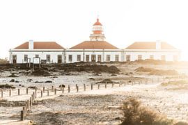 Leuchtturm in sanftem Dünenlicht Ruhe an der Küste von Femke Ketelaar