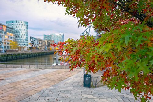 Herfst in Hamburg