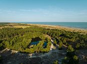 Natuurgebied Oranjezon 2 van Andy Troy thumbnail