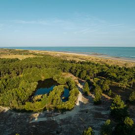Nature reserve Oranjezon 2 by Andy Troy