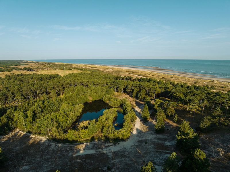 Natuurgebied Oranjezon 2 van Andy Troy