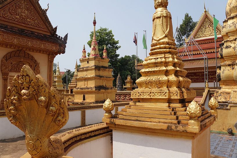 Cambodia by Michel van Vliet