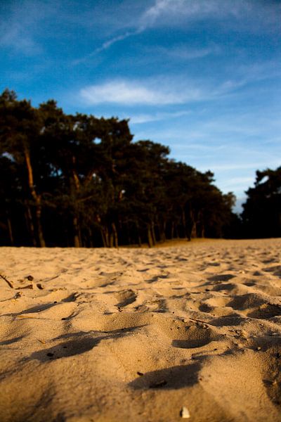 Lage Zon, Hoog Zand von Vincent van den Hurk