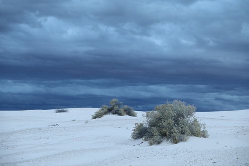 White Sands Dunes National Monument in New Mexico USA