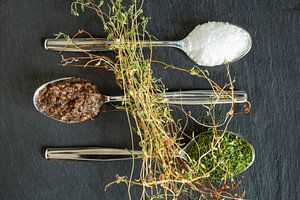 Salz, Tapenade, Dill & frischer Thymian auf Schiefer
