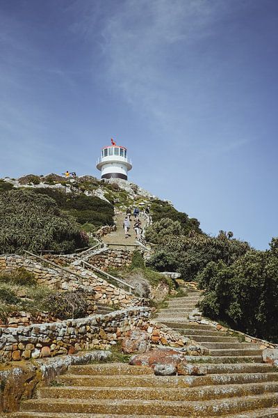 The road to Cape Point Lighthouse | Travel Photography | Western Cape, South Africa, Africa by Sanne Dost