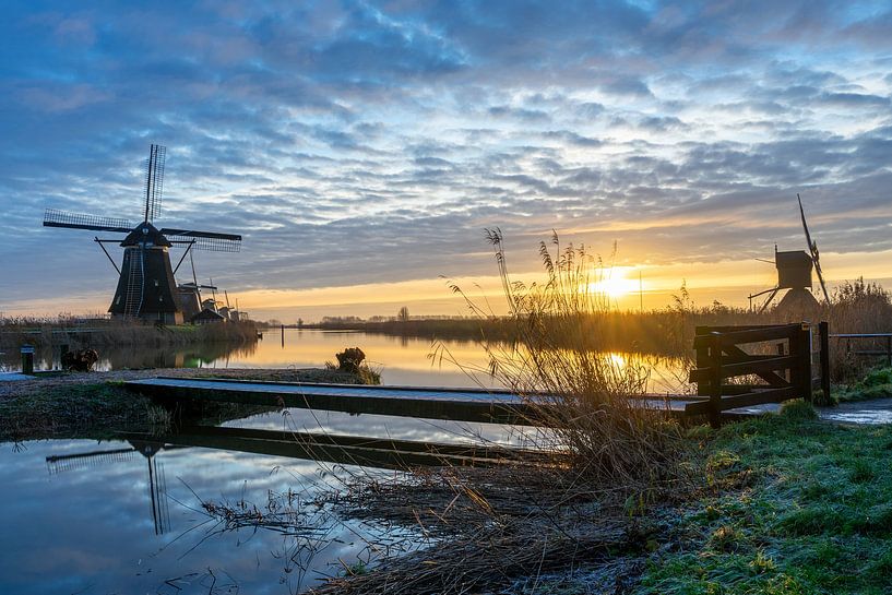 Kinderdijk Windmühlen 1. Januar von Ecarna