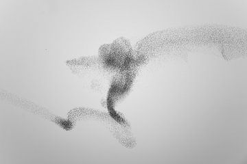Starling swarm by Jarno van Bussel