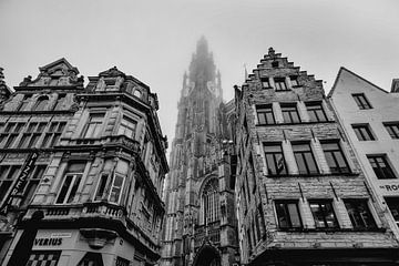 Kathedraal in Antwerpen van Rob Boon