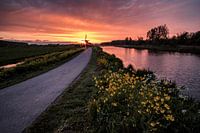 Windmolen bij zonsondergang